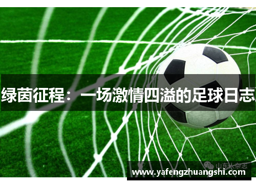 绿茵征程：一场激情四溢的足球日志