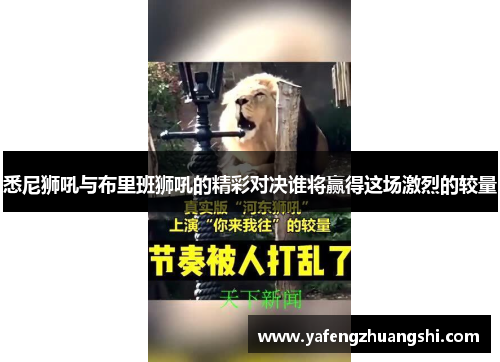 悉尼狮吼与布里班狮吼的精彩对决谁将赢得这场激烈的较量
