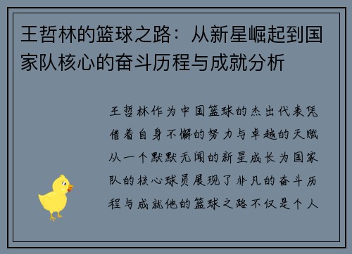 王哲林的篮球之路：从新星崛起到国家队核心的奋斗历程与成就分析