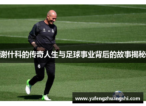 谢什科的传奇人生与足球事业背后的故事揭秘